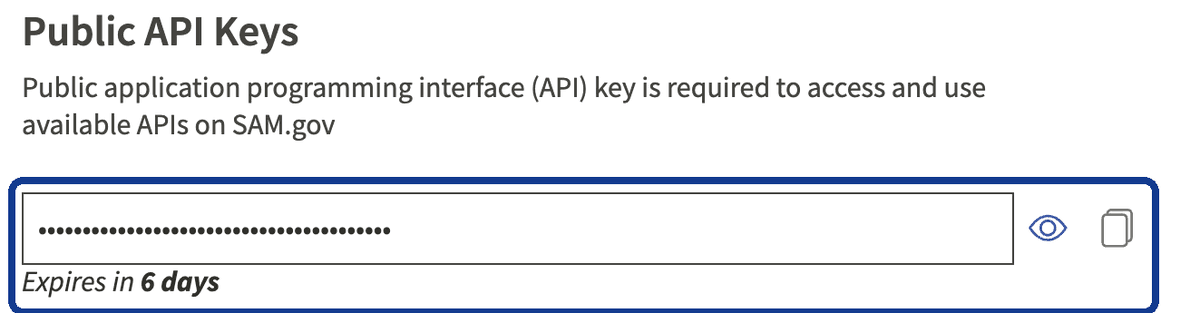The Public API Keys section: a hidden key with show and copy buttons, and an expiry countdown underneath.